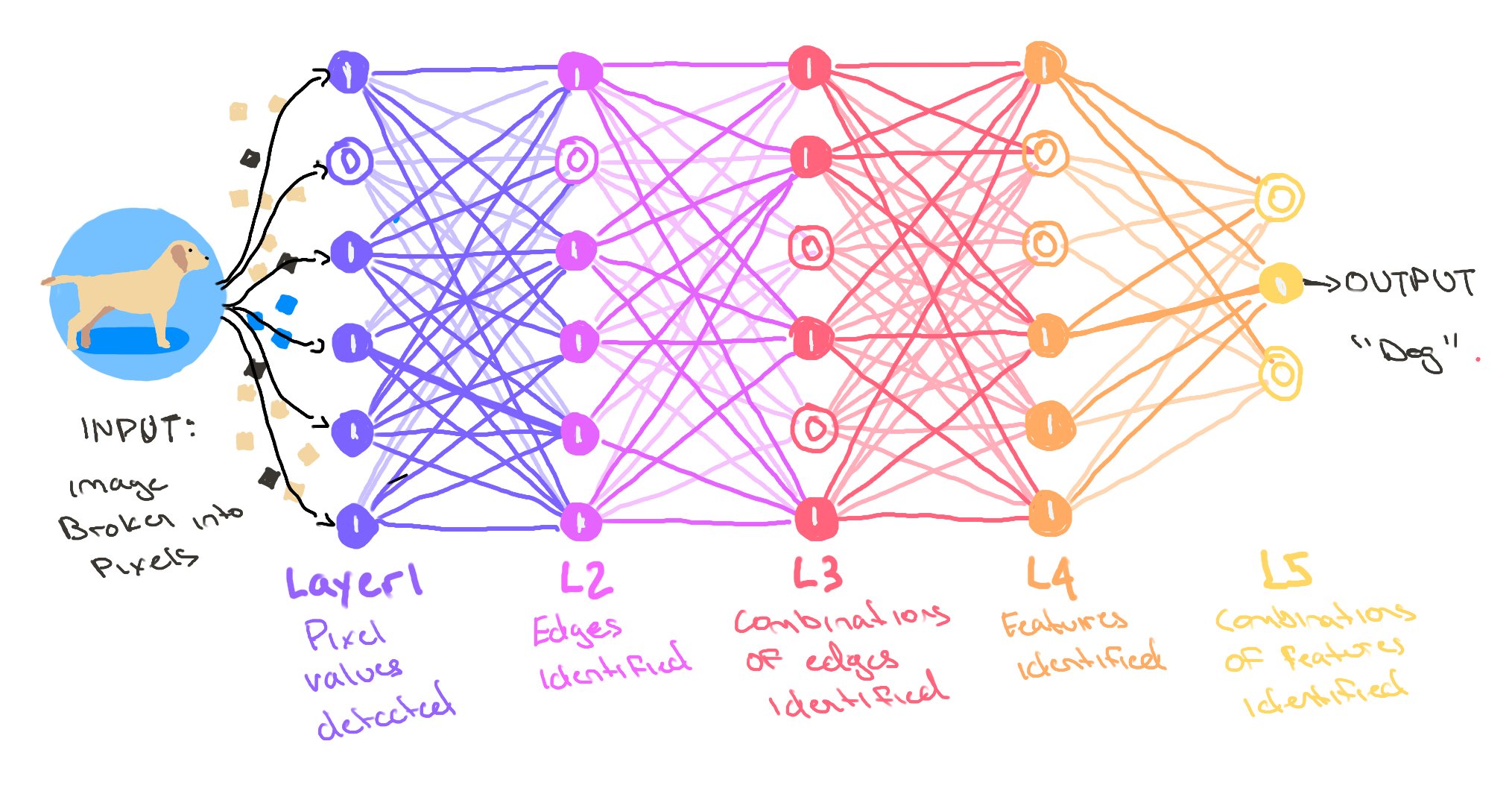 Neural Network from Scratch using NumPy